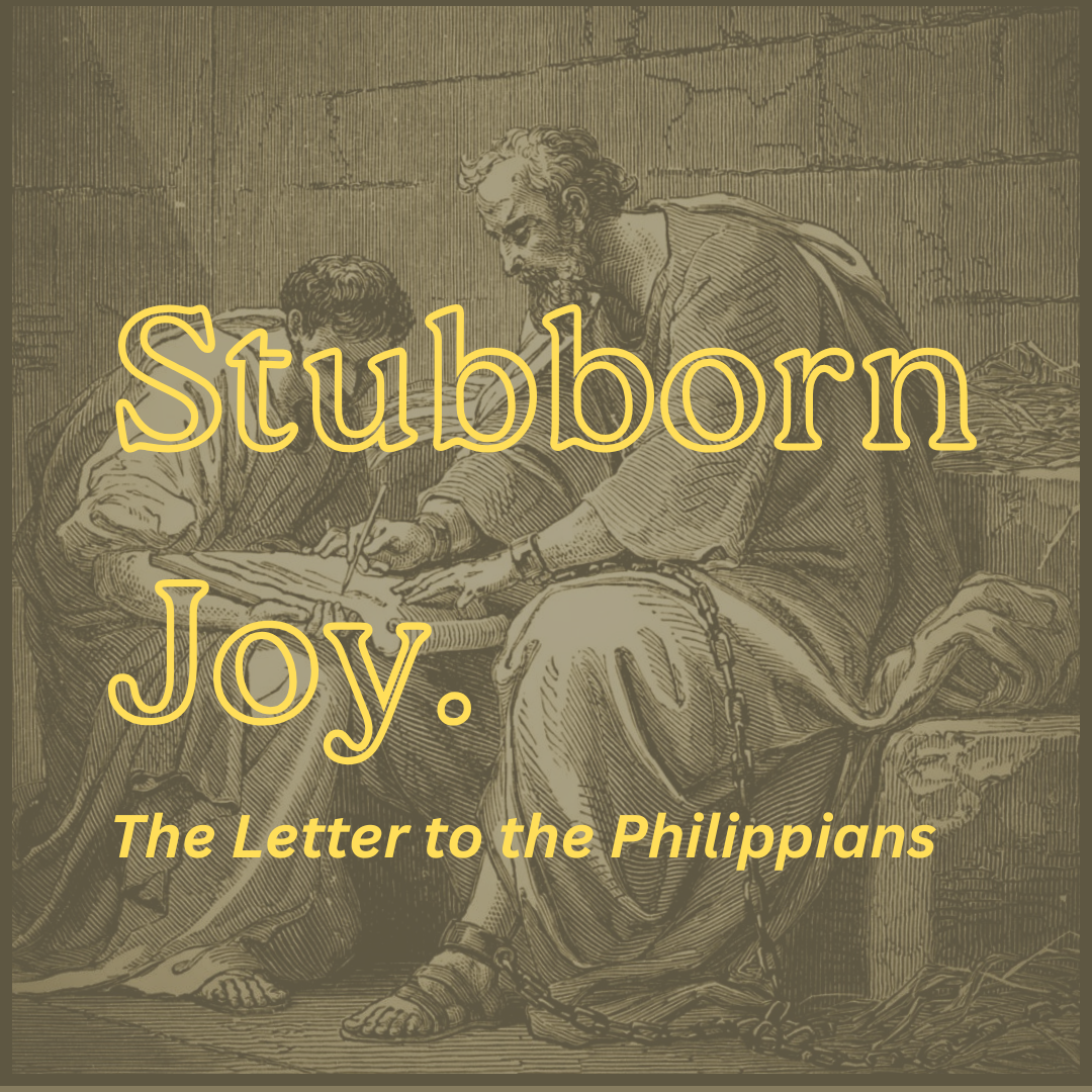 Stubborn Joy series image