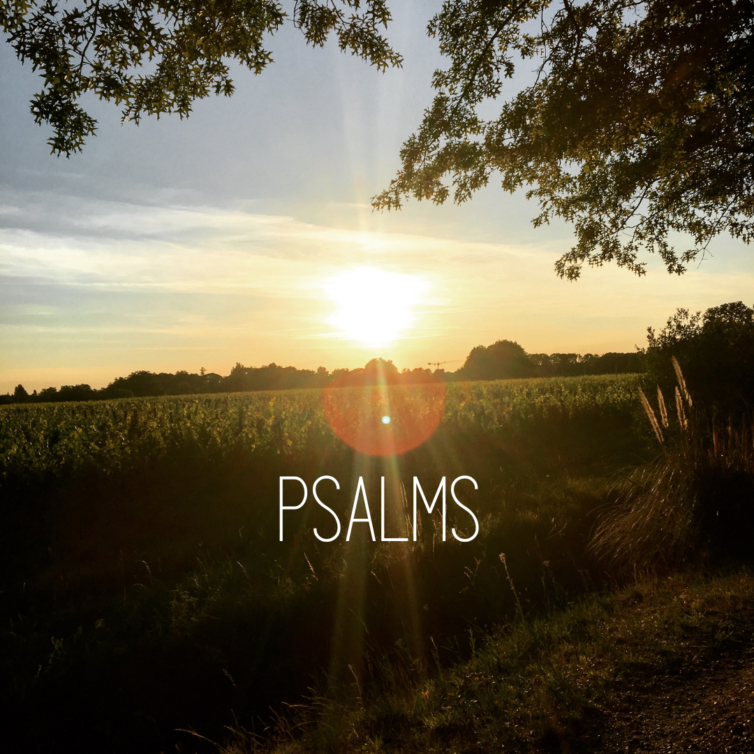 Psalms series image