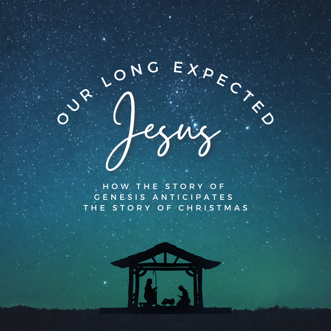 Our Long Expected Jesus series image