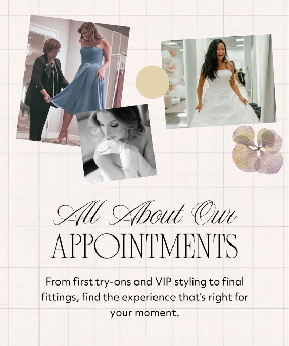 davids bridal bridesmaid dress appointment Appointments | Learn All about Our Appointments | David's Bridal