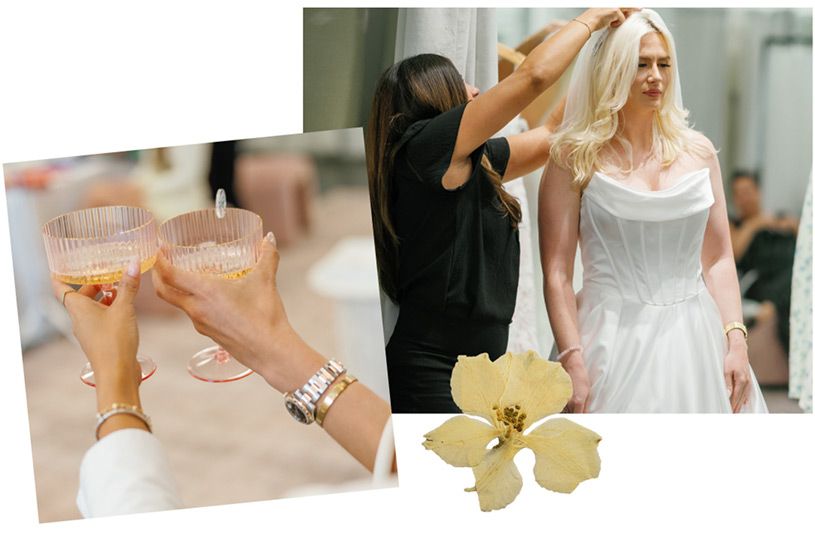davids bridal dress fitting appointment Size doesn't matter. Fit does. Introducing David's Fit Guarantee  we'll  tailor, resize, and perfect any dress, even ones you didn't buy from us.  Yes, really. No waivers. No contracts. Just confidence