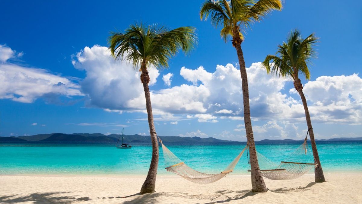hammocks between palm trees at White Bay, Jost van Dyke