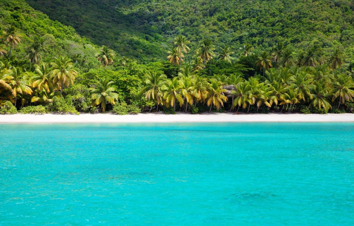 Brewers Bay, Tortola, British Virgin Islands