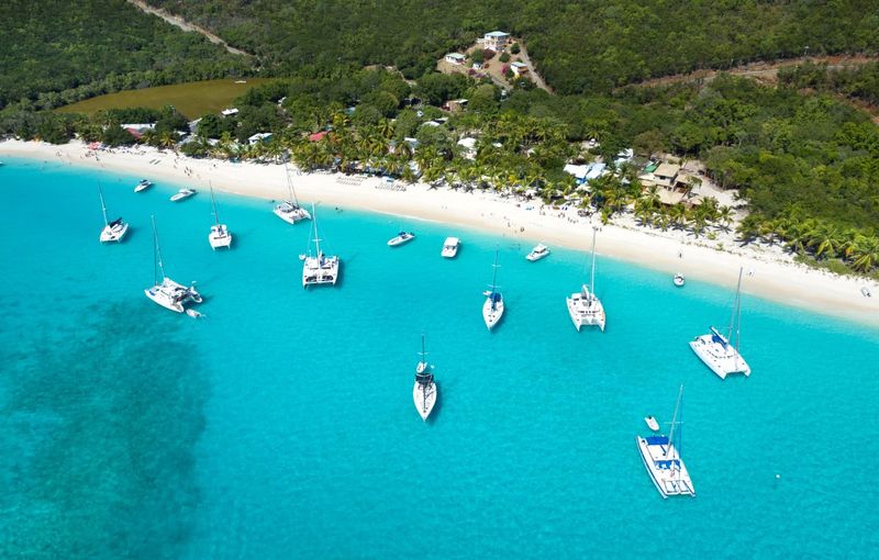 White Bay Charter Guide