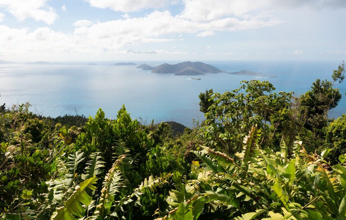 Jost Van Dyke Island