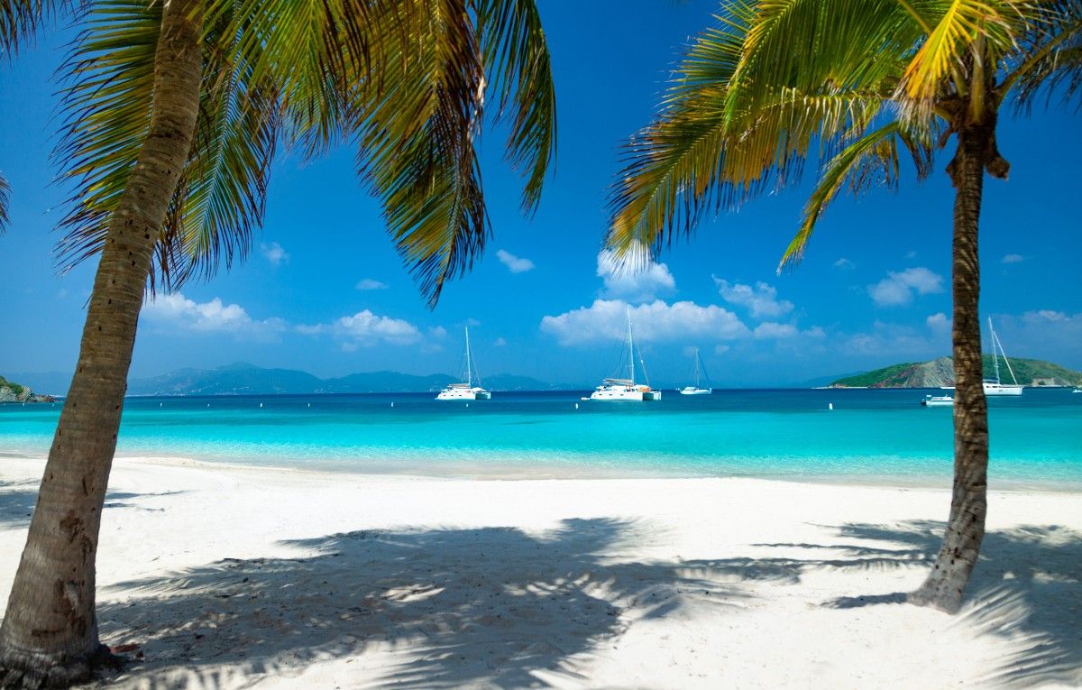 palm trees on Deadman's beach, Peter Island