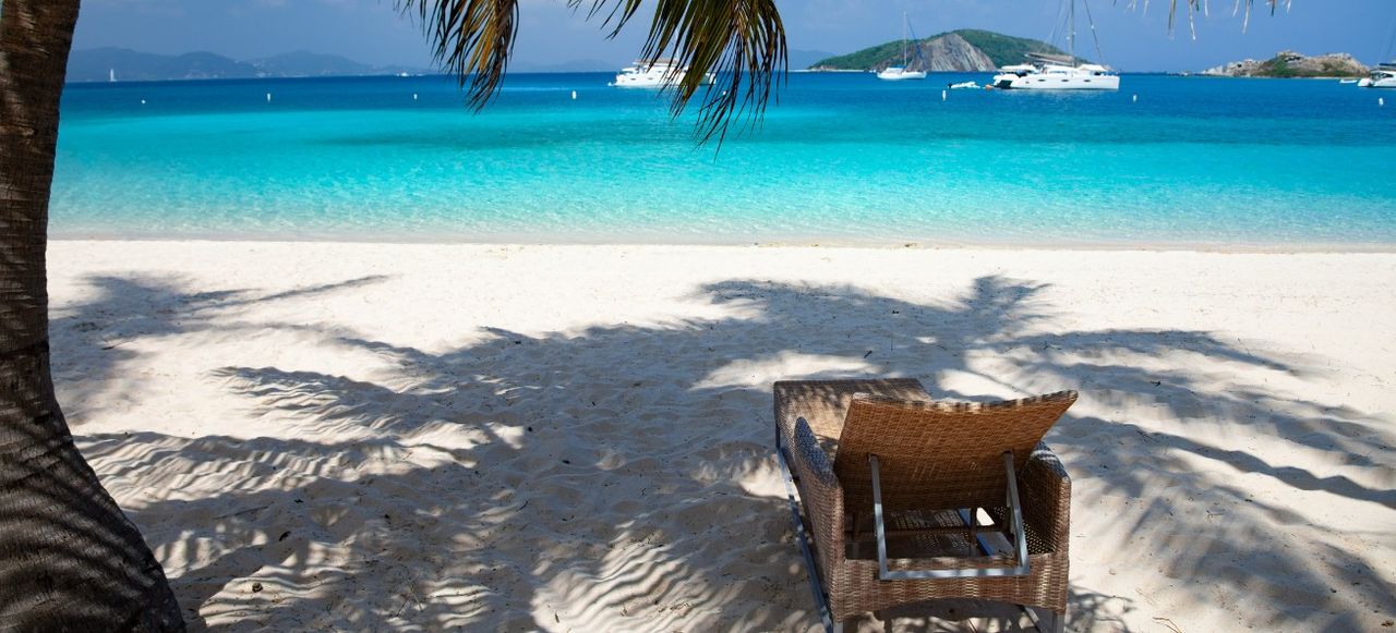 palm tree on Deadman's beach, Peter Island