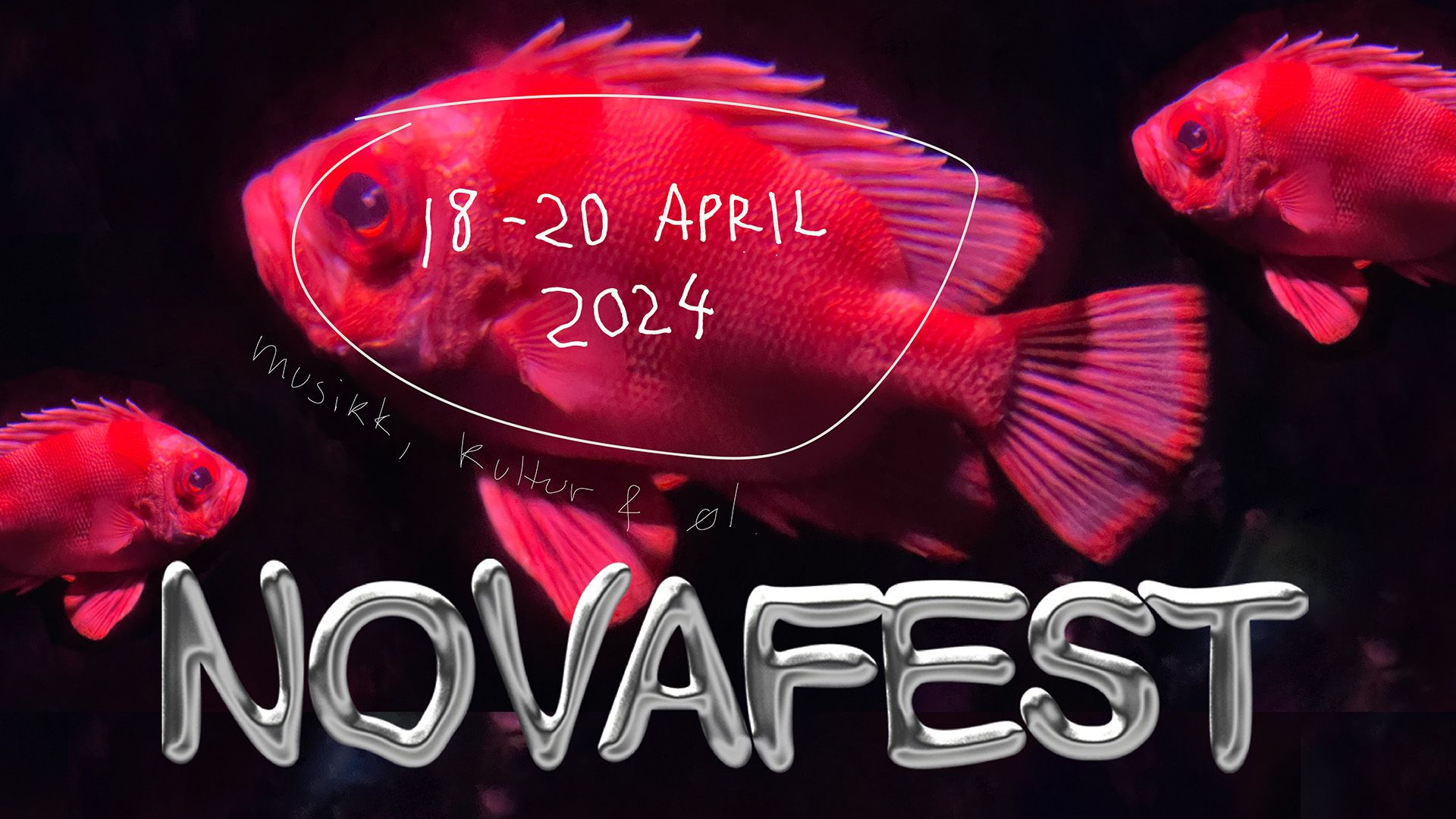Cover Image for Novafest chooses Broadcast as their official festival app!