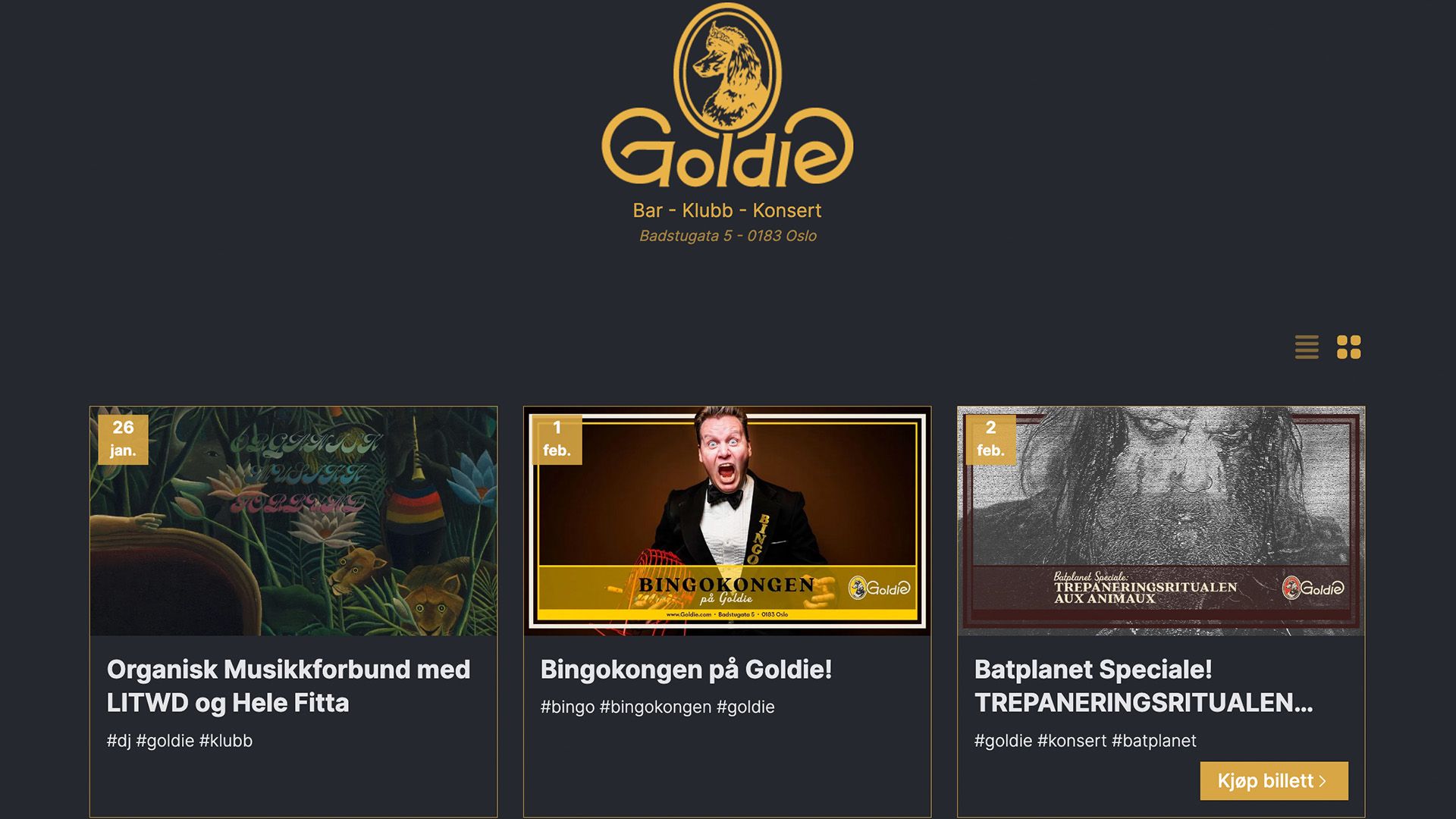 Cover Image for Goldie`s new website is powered by Broadcast!