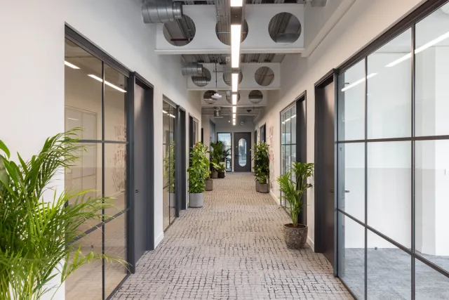 Corridor with glass partitions and plants in pots