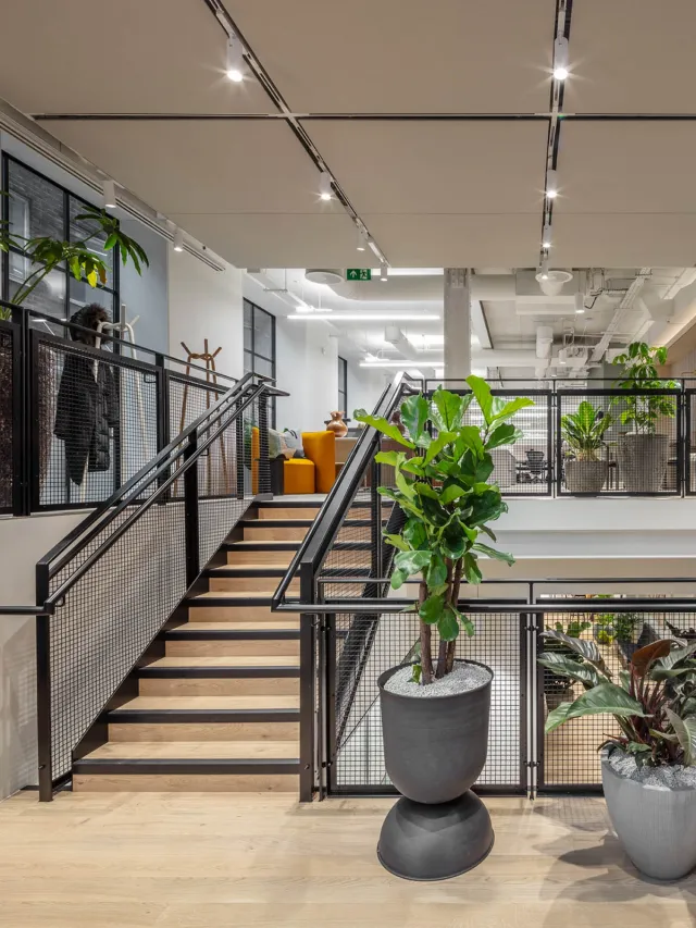 A staircase leading from reception to the office floor with plants in pots