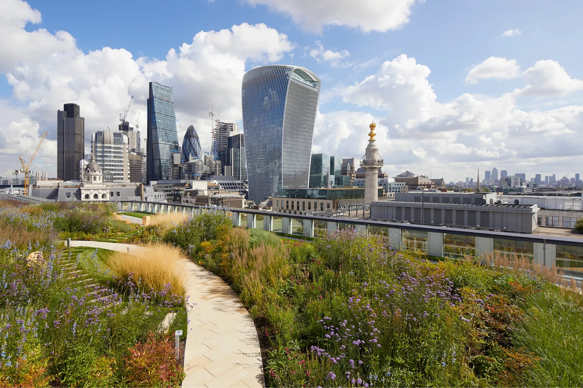 roof top garden with view on london city and blue skies