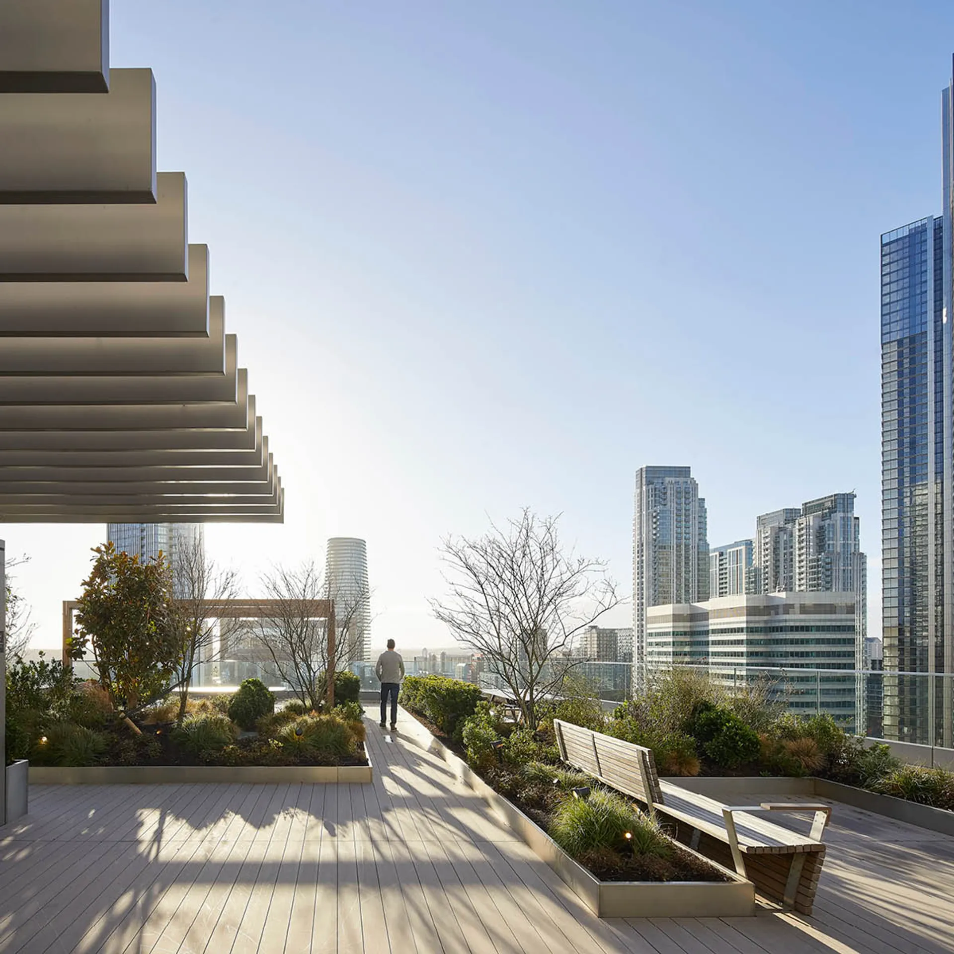 A landscaped roof terrace on a sunny day