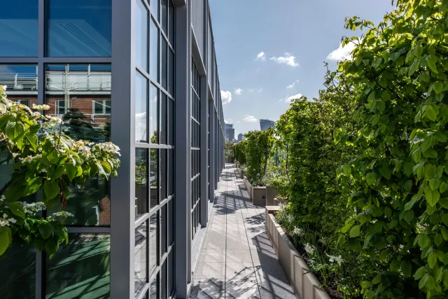 view of terrace with trees plants and windows