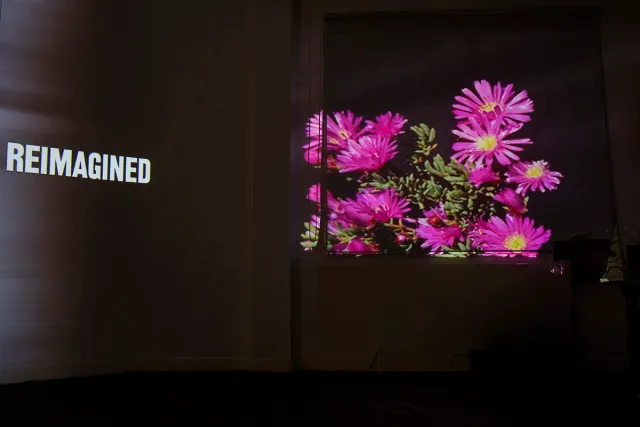 video installation detail