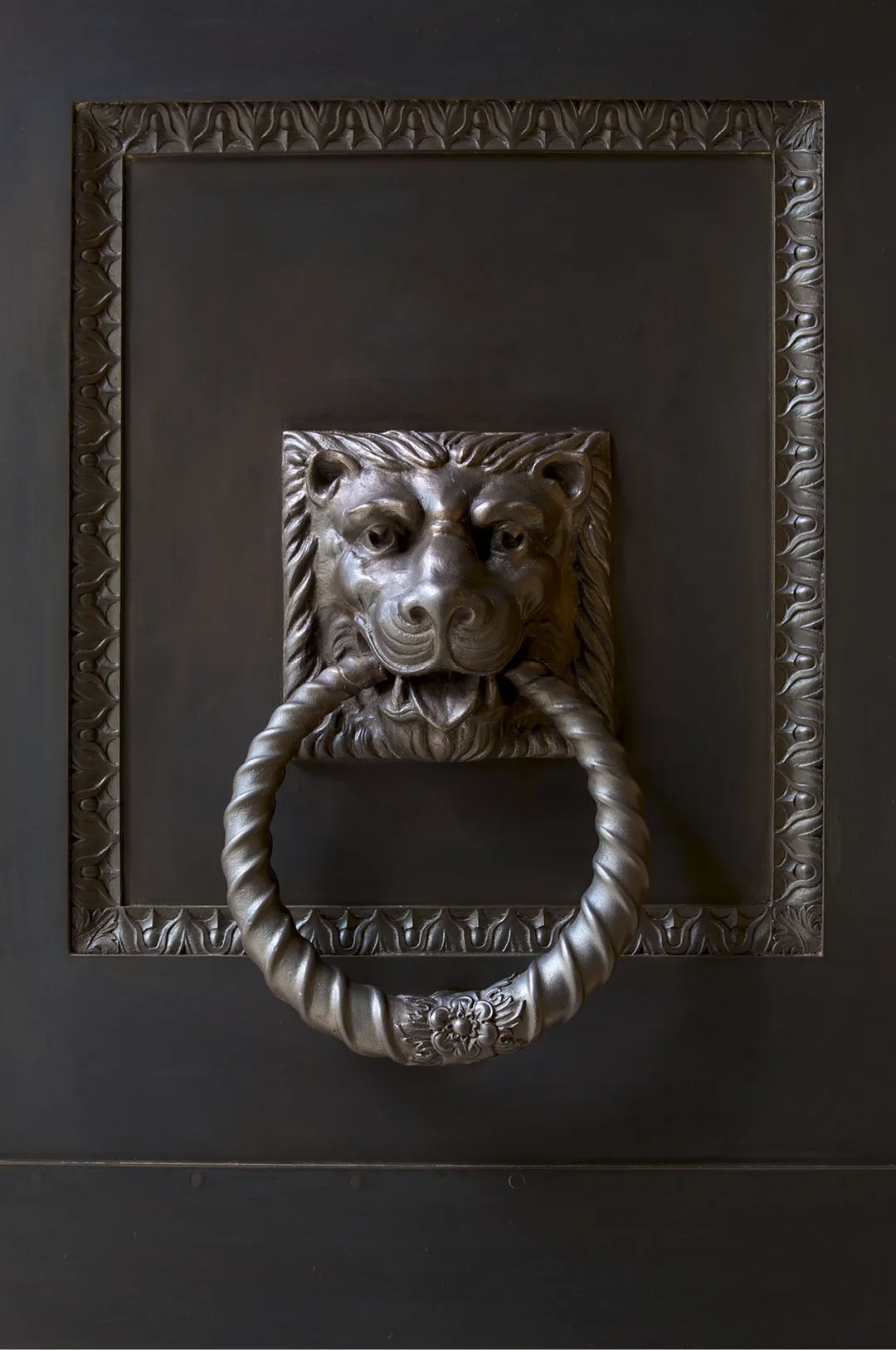 details of lion door knock historical bronze