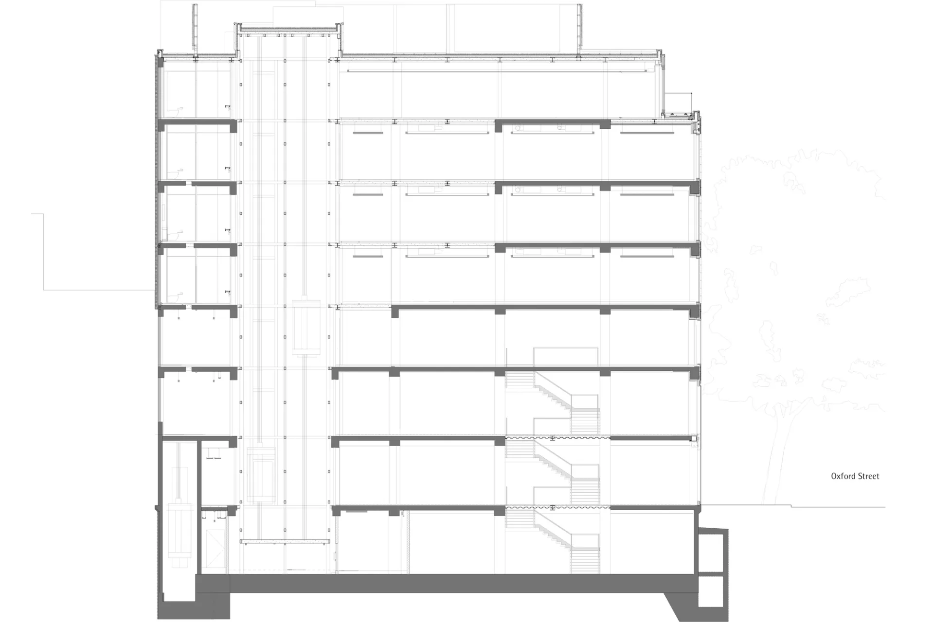 architectural section drawing of the building