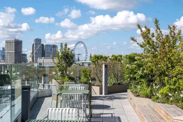 view of London eye from terrace with plants