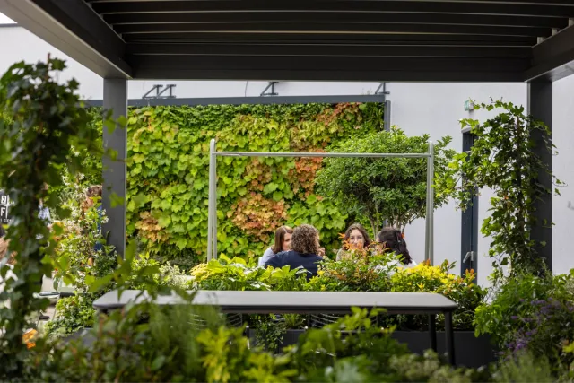 A group of people sit talking surrounded by plants