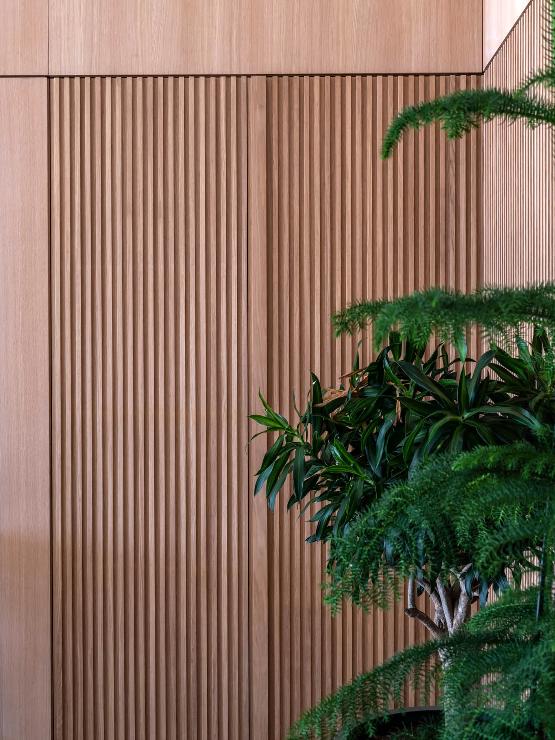 A ridged wooden wall panel with a plant in front
