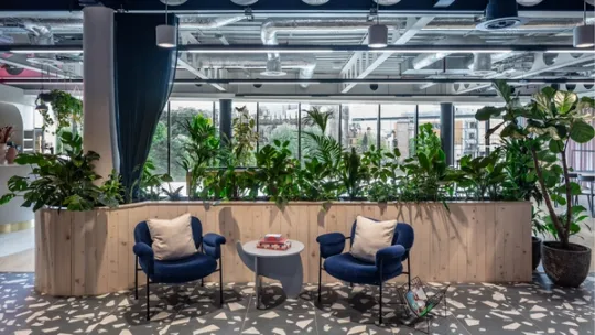 Two blue chairs in an office lobby with plants behind