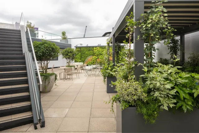 A roof terrace with planting and stairs to a mezzanine 