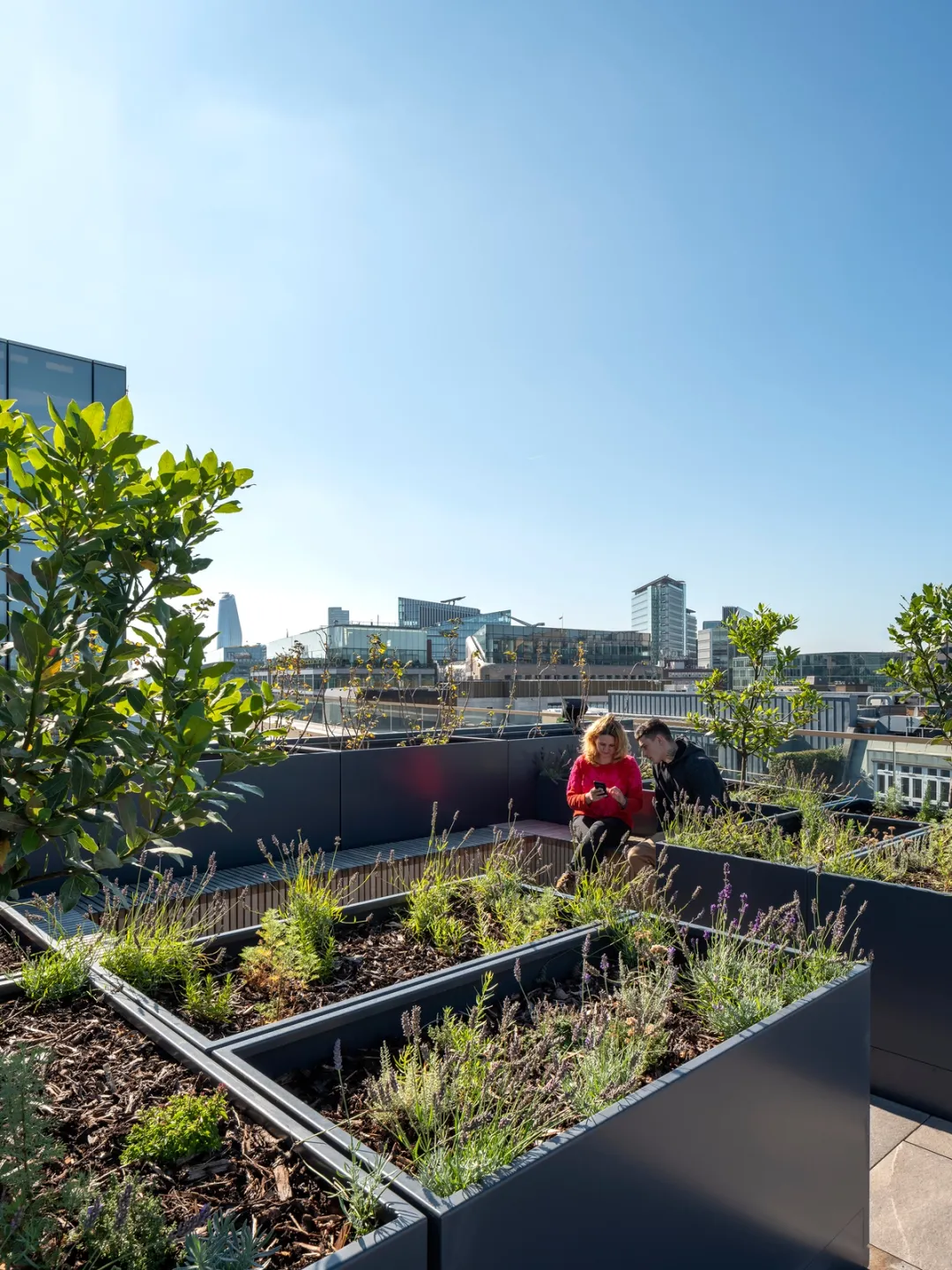 rooftop garden with view of city