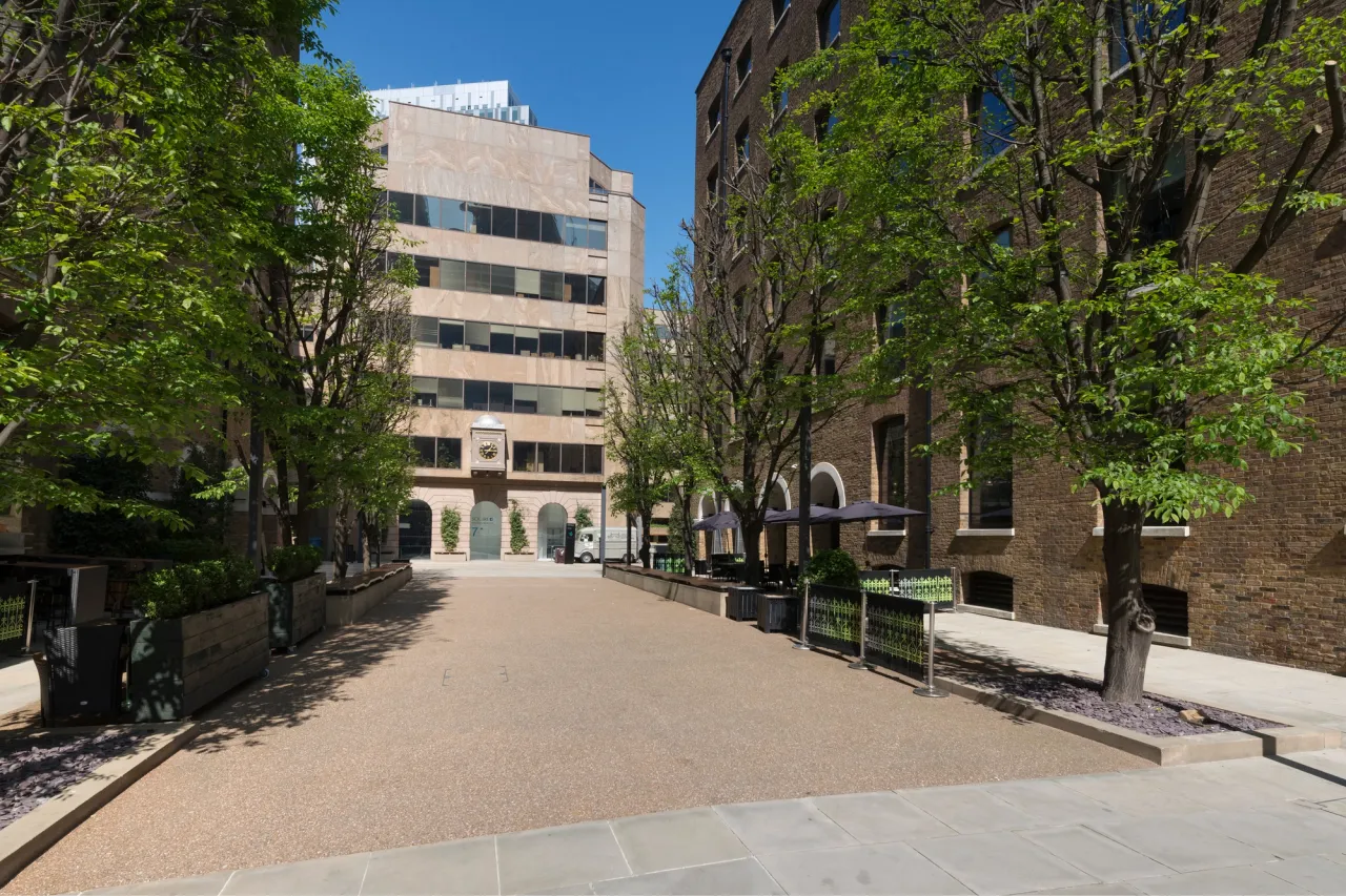 tress and exetrior building