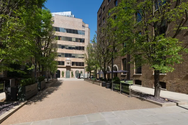 trees and building exterior