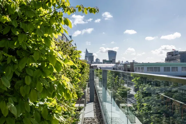 view of London city from terrace full of plants and greenery