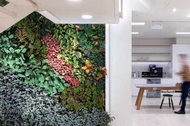 A green wall with a person walking past a kitchenette in the background