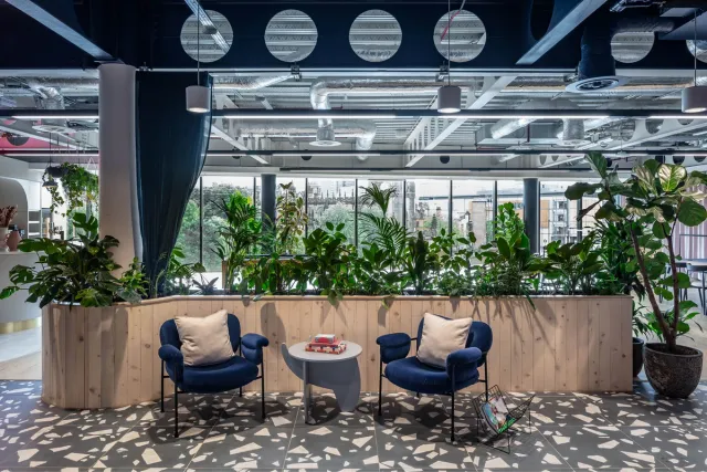 Two blue lobby seats with plants behind