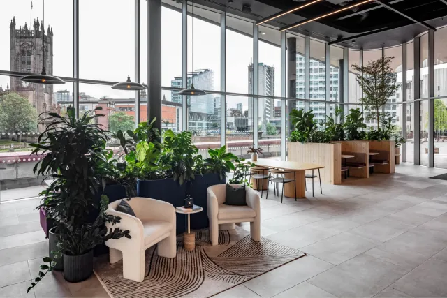 White armchairs surrounded by plants