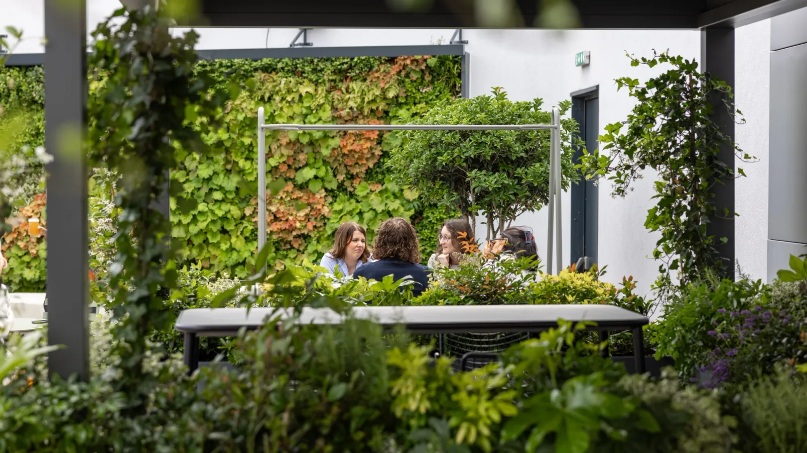 rooftop terrace with lots of greenary
