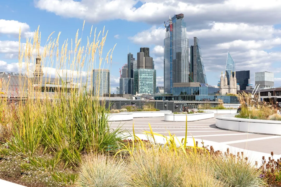 View from rooftop garden towards the City of London