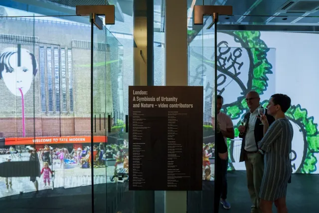 entrance to video installation