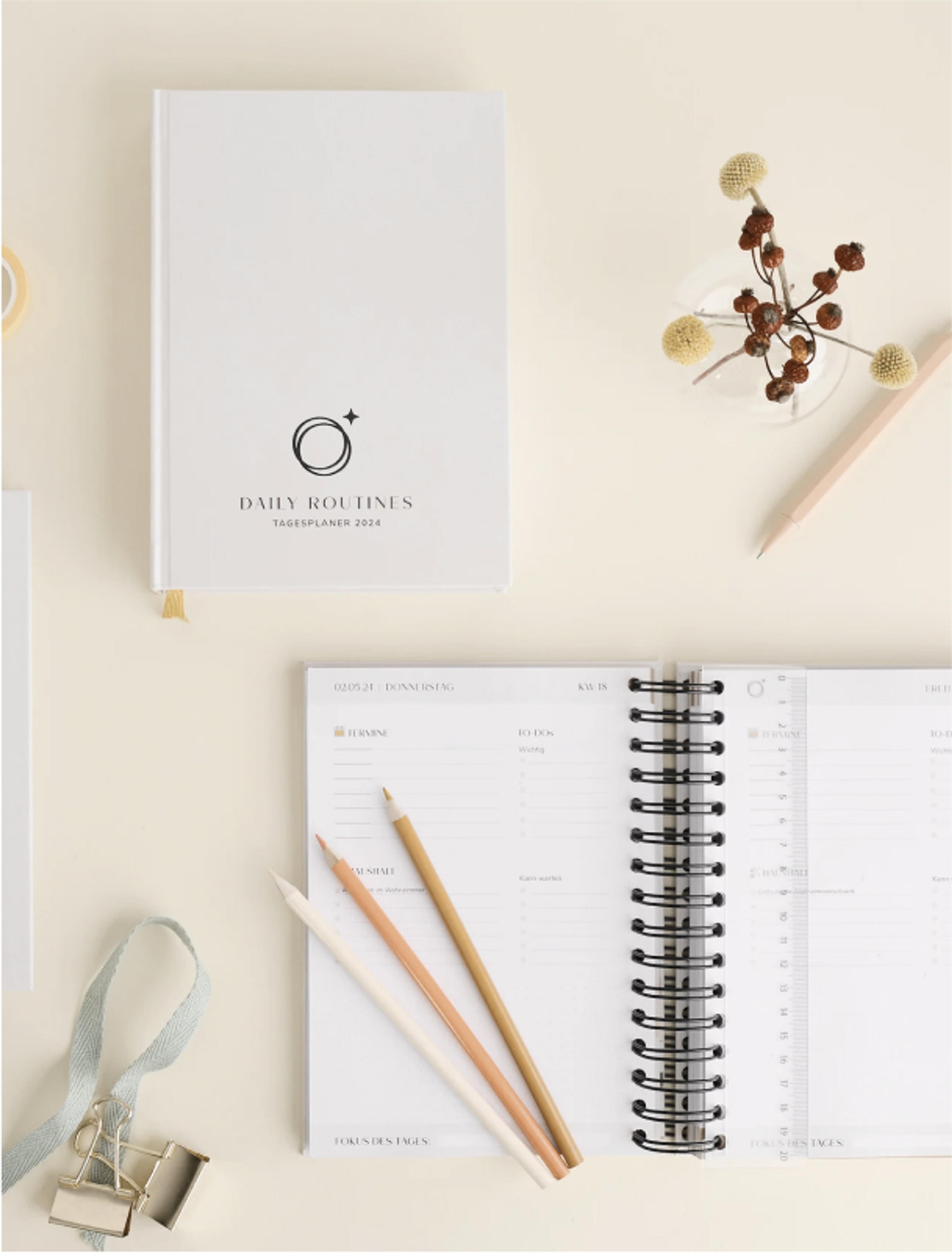 Nachhaltiges Packaging-Design für Goldkindchen: Minimalistisch, elegant und umweltfreundlich – für ein hochwertiges Unboxing-Erlebnis und starke Brand Awareness.