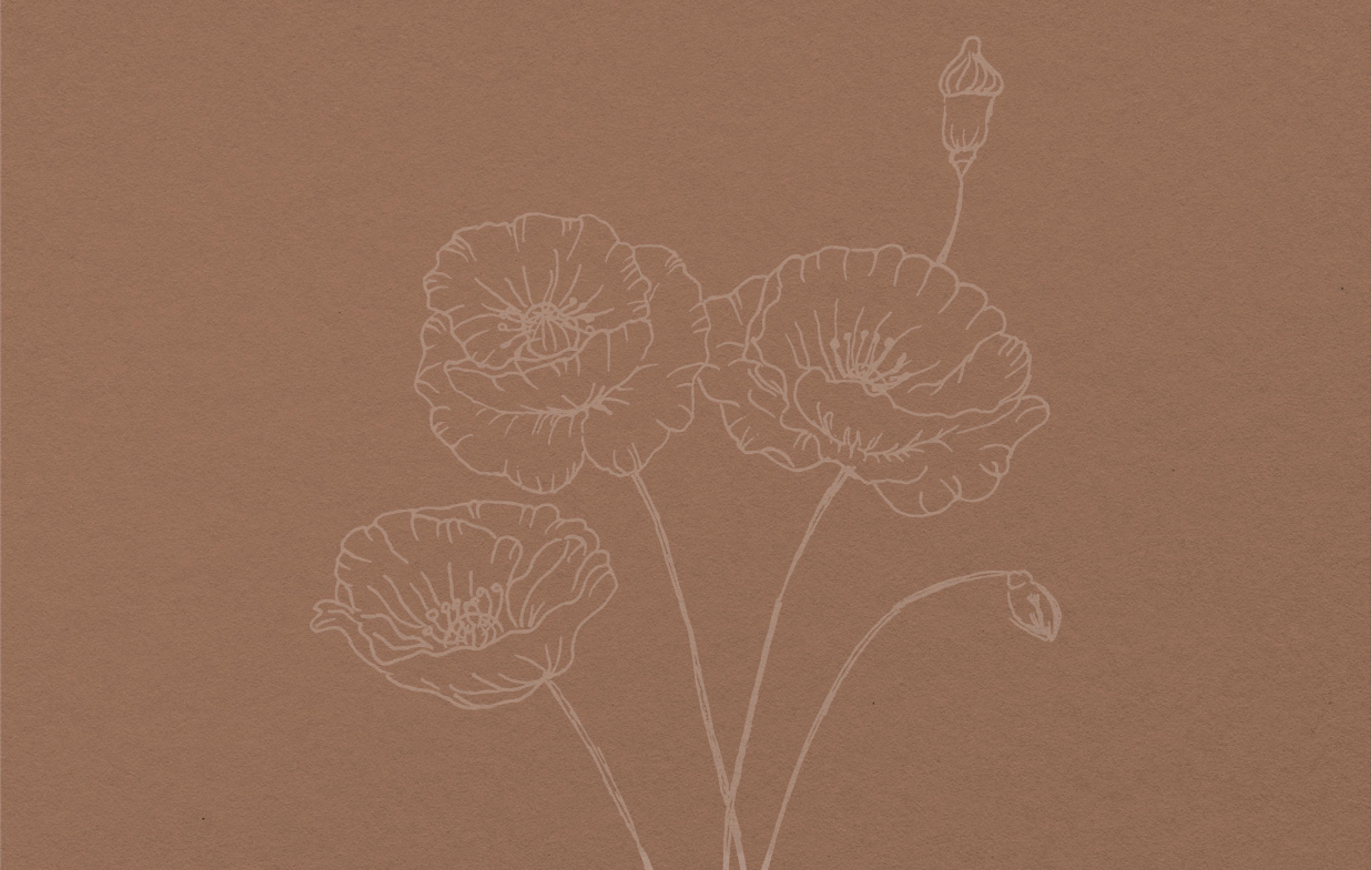 Braunes Hintergrundbild mit weißen Blumen