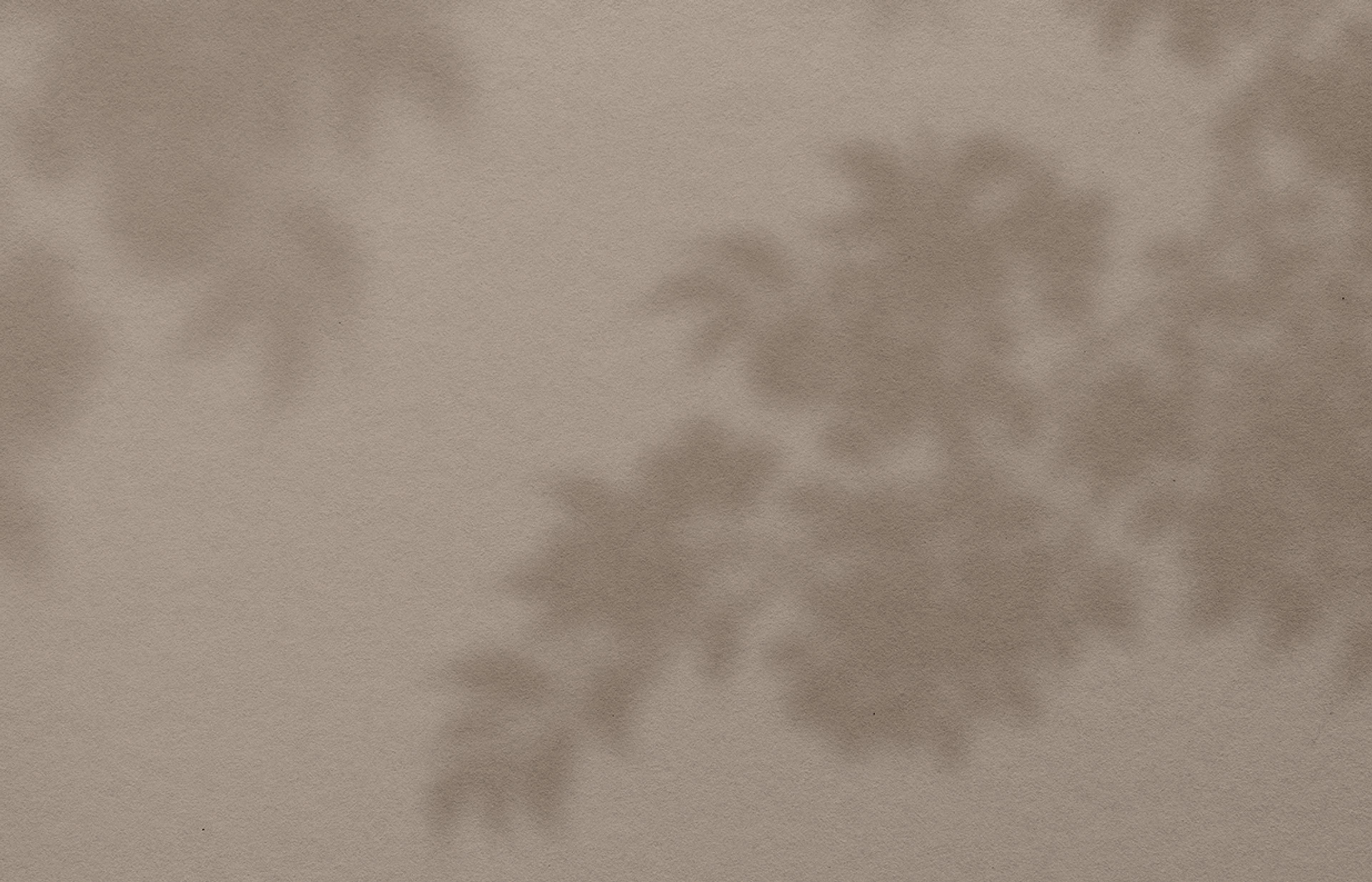 Beiges Hintergrundbild mit Schatten einer Pflanze