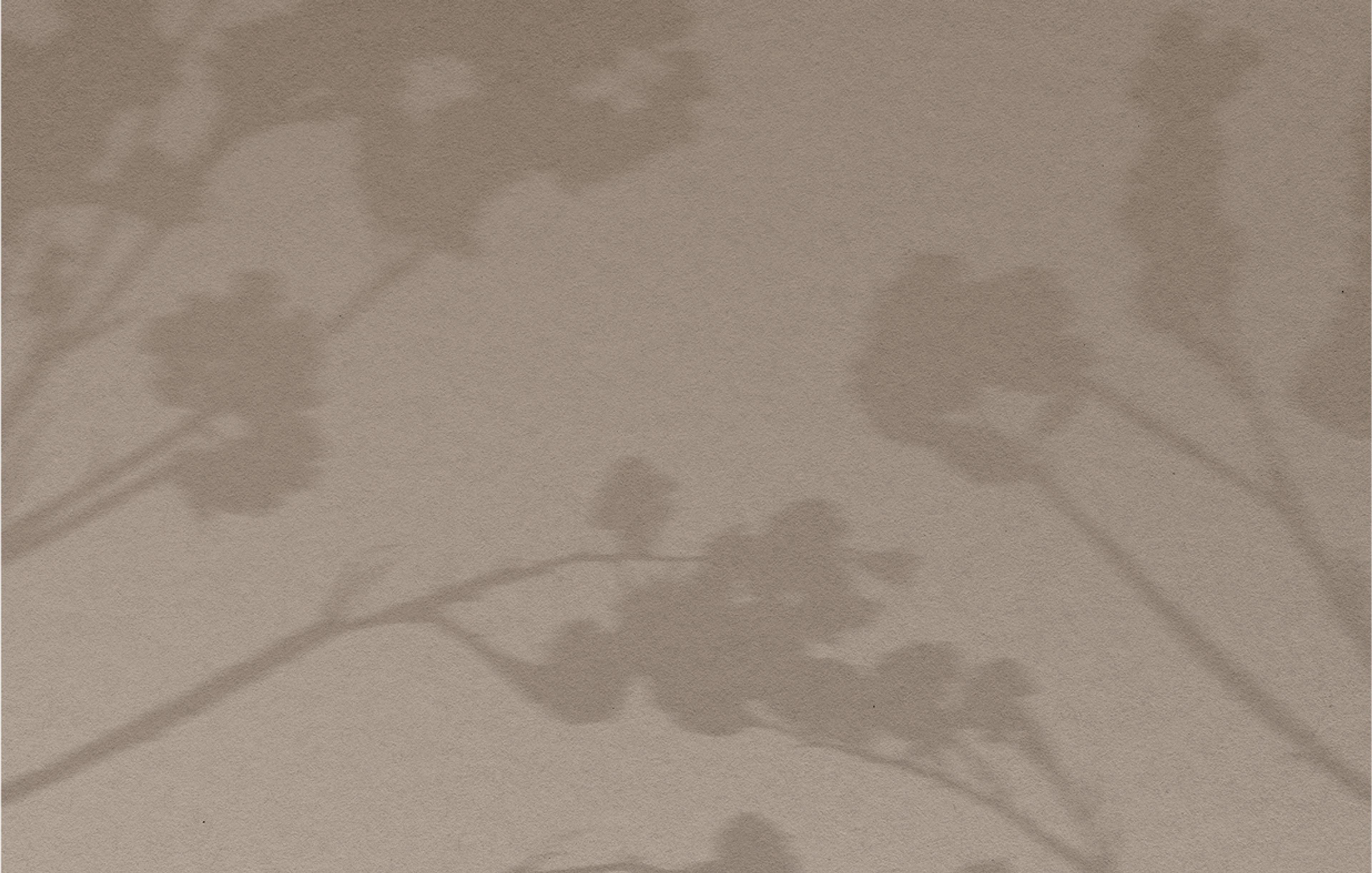 Beiges Hintergrundbild mit Schatten einer Pflanze