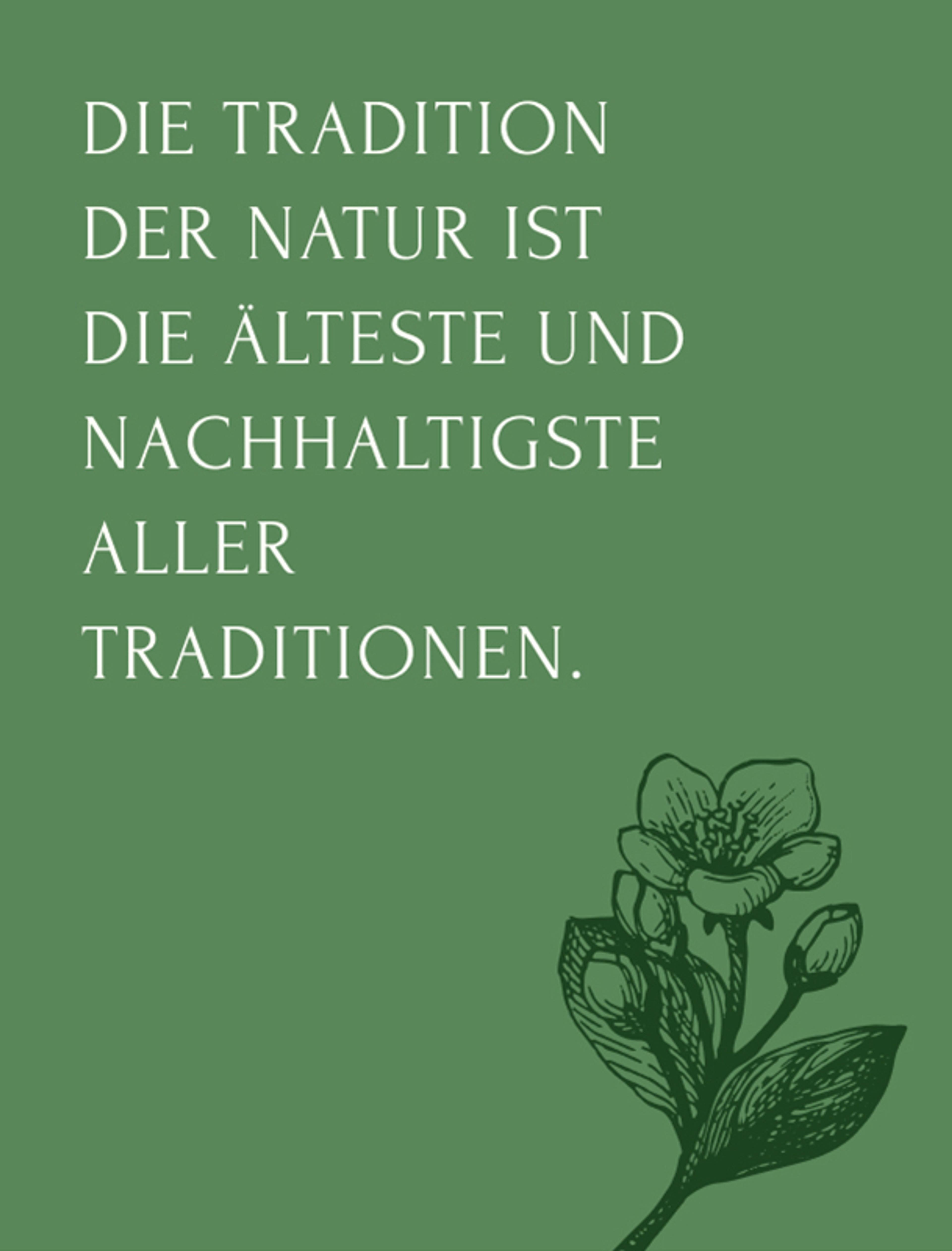 Schriftzug: „Die Tradition der Natur ist die älteste und nachhaltigste aller Traditionen.“ mit floralen Illustrationen von Apfel-Blüten. Illustriert von Uenrwartet Design in Graz, Österreich.