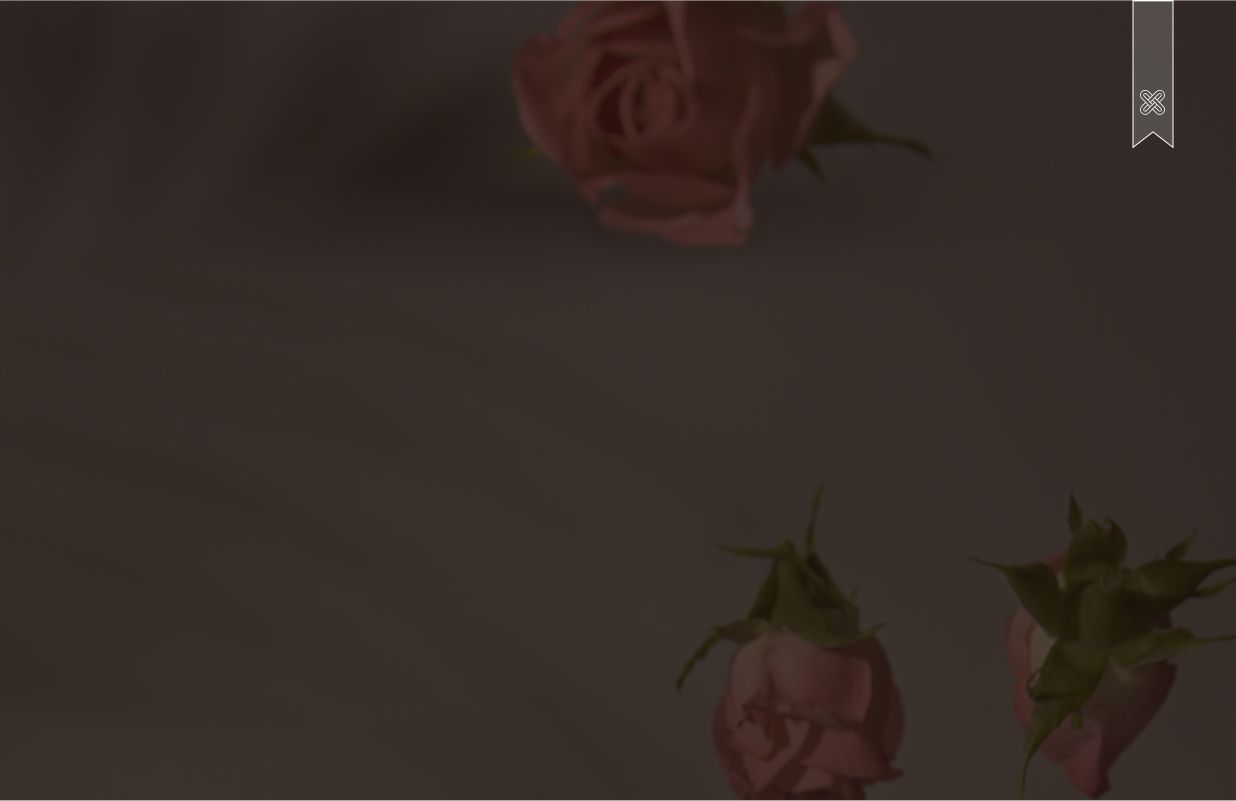 Hintergrundbild mit Rosen und den Schatten von Pflanzen 