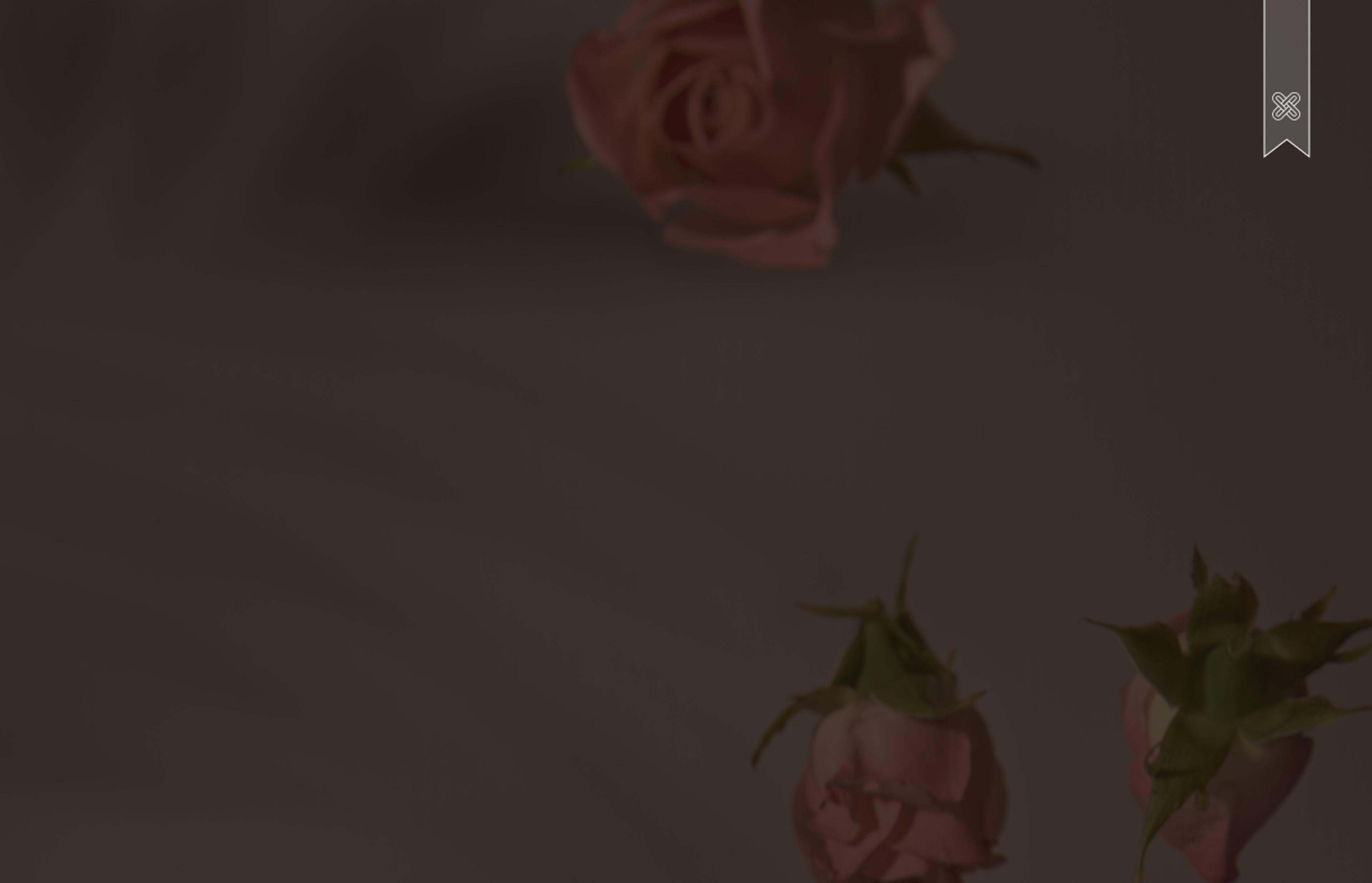 Hintergrundbild mit Rosen und den Schatten von Pflanzen