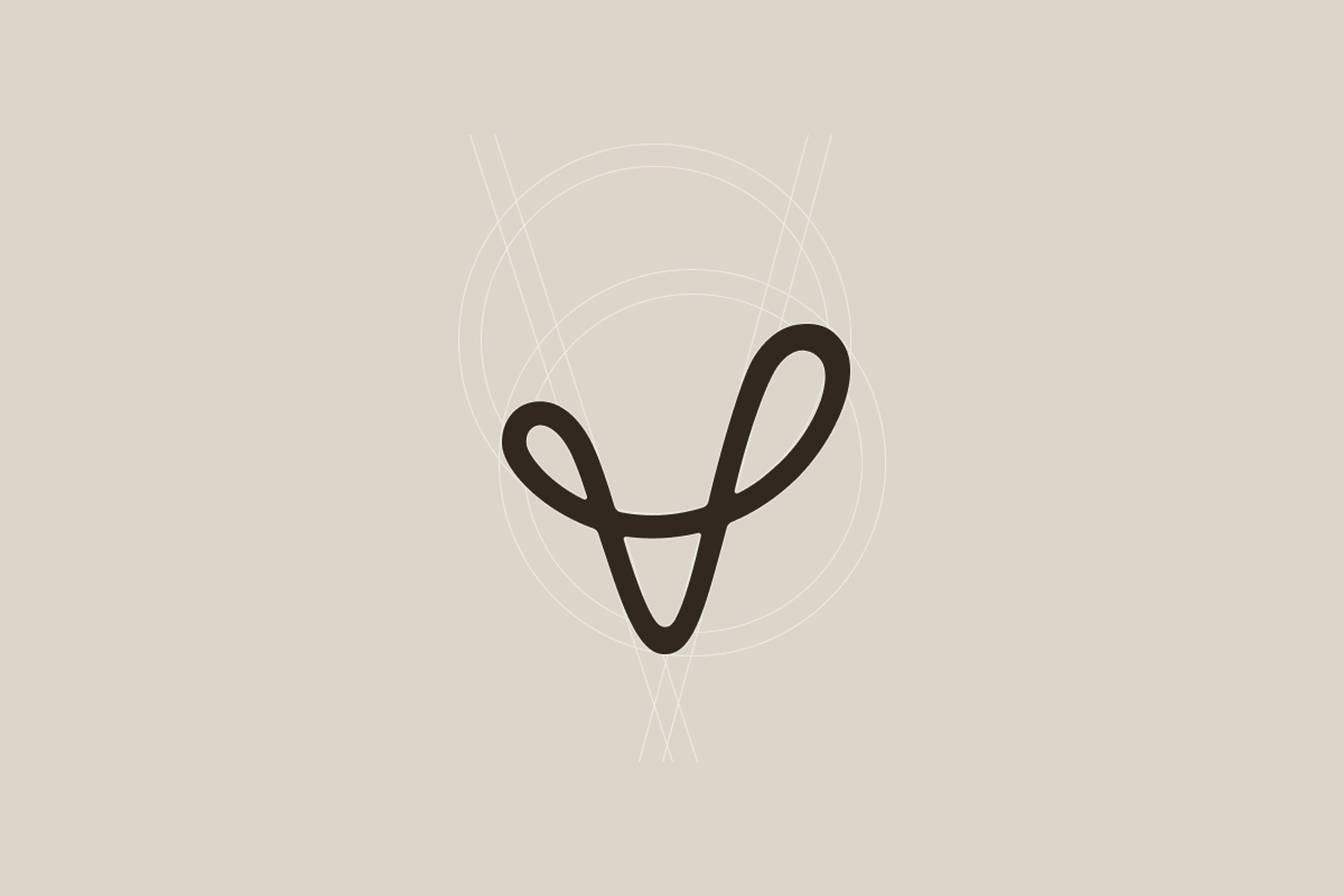 Valeo Vita Brand Refresh Logo Design