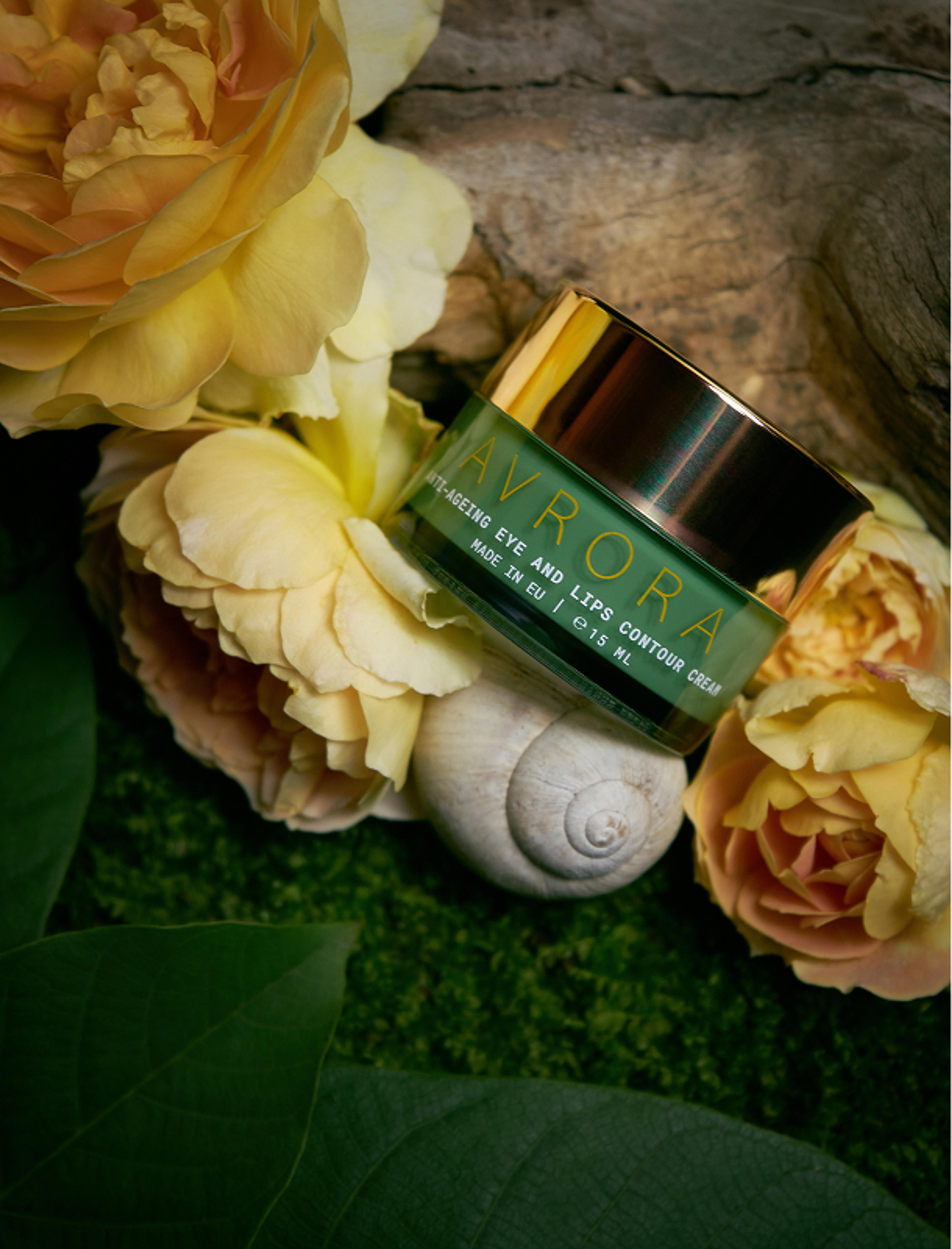 Das hochwertige Packaging Design der AVRORA Anti-Aging Eye Cream – luxuriöse goldene Akzente, eingebettet in eine natürliche Umgebung mit Rosen und Holz. Ein harmonisches Zusammenspiel von Tradition, Natur und Eleganz.