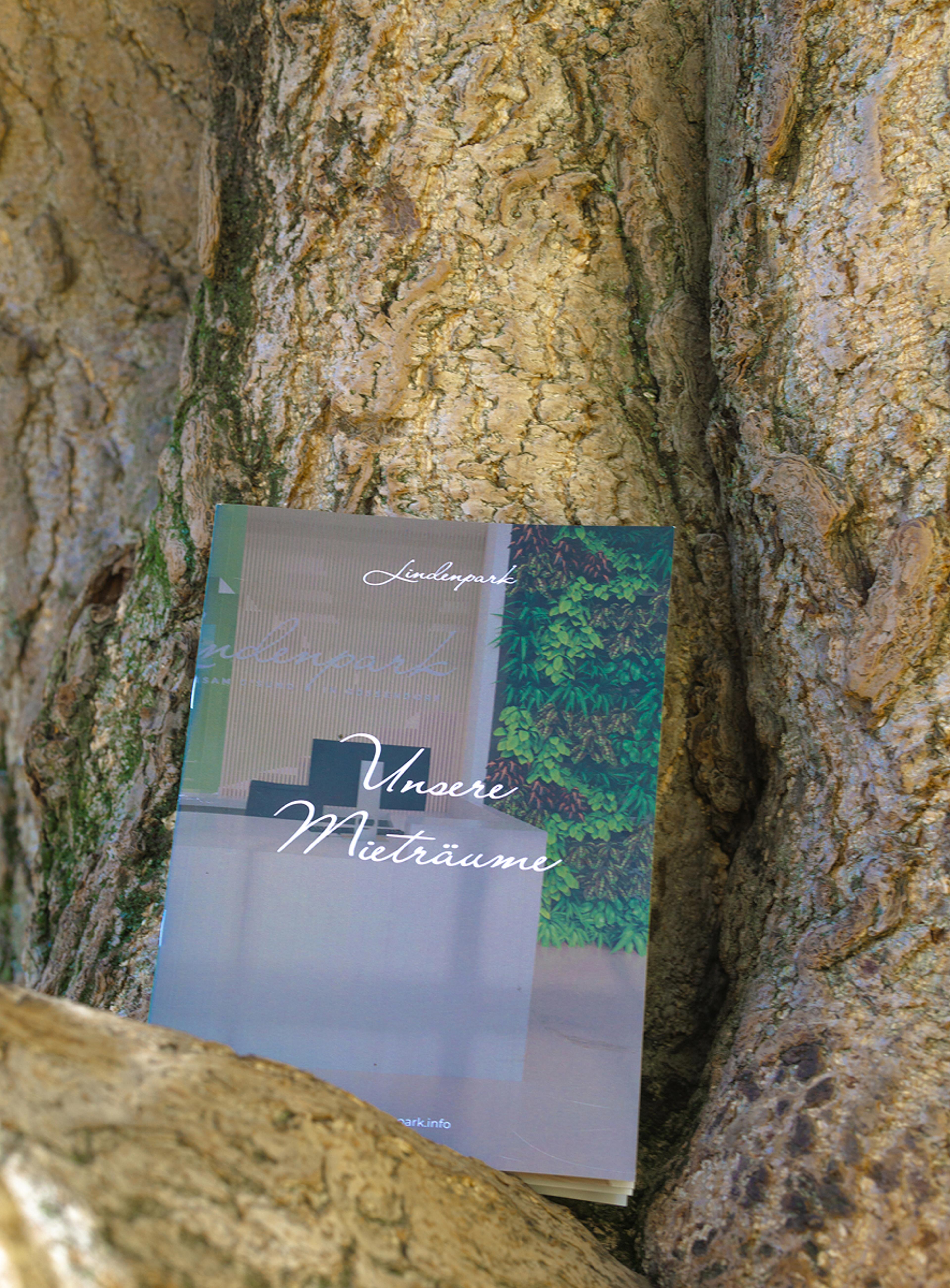 Lindenpark Mietraumbroschüre in der Natur