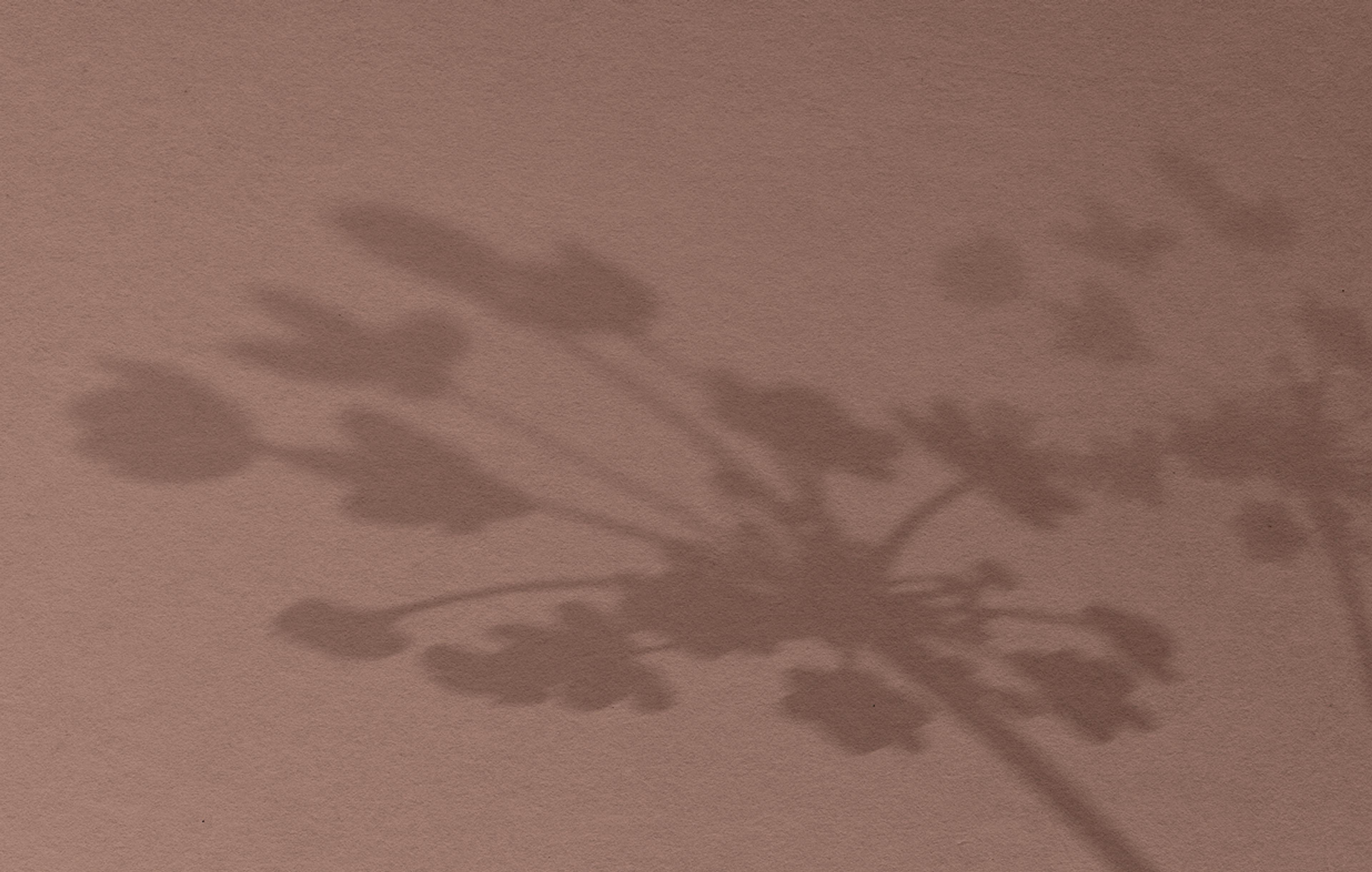 Braunes Hintergrundbild mit Schatten einer Pflanze