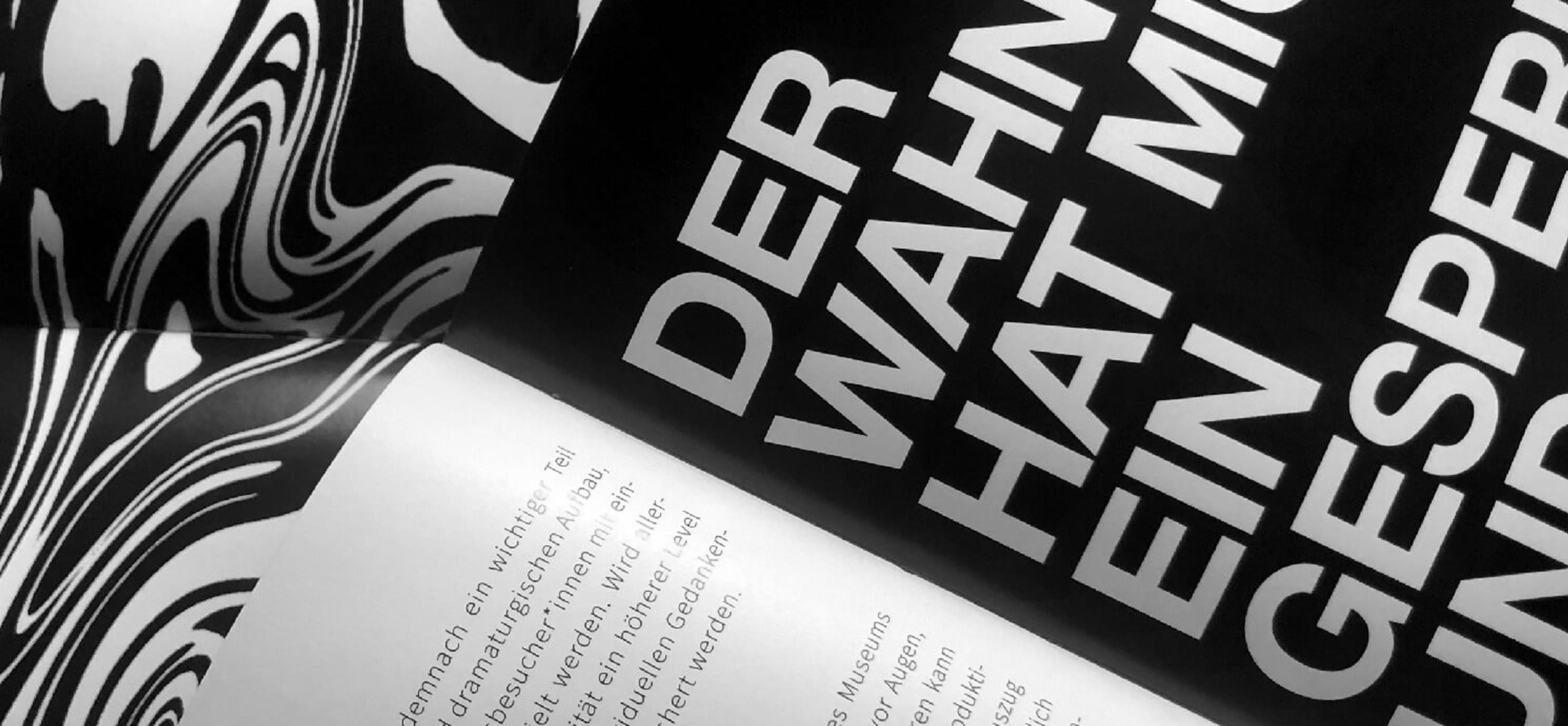 Schwarz-weißes Buchdesign mit großem, verzerrtem Schriftzug „Der Wahn hat mich gesperrt“. Der visuelle Effekt verstärkt die emotionale Wirkung.