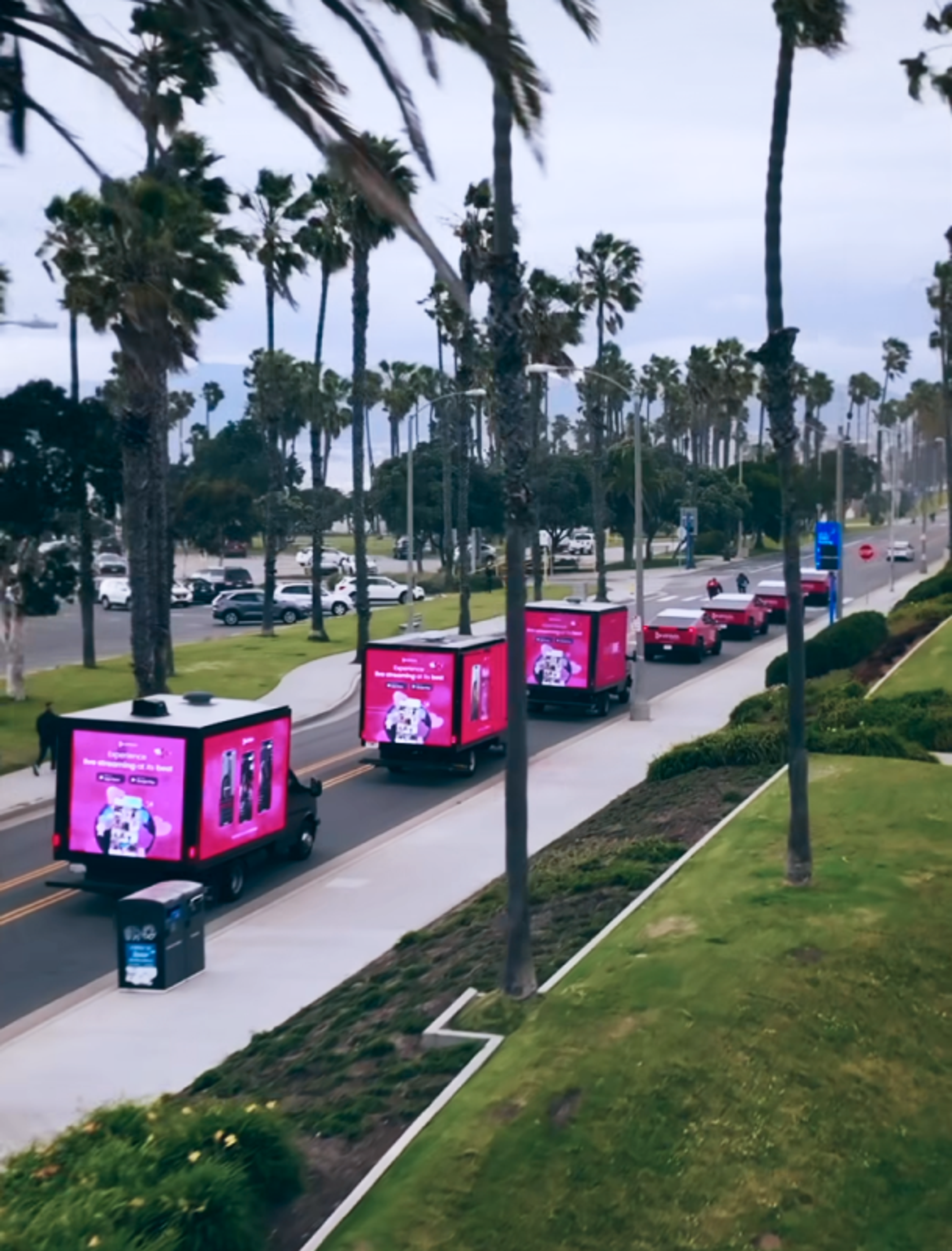 Foto: Vinivia Kolonne von Fahrzeugen mit Vinivia-Werbung, die entlang einer Palmenstraße fahren, mit klar erkennbarem Branding und leuchtendem Pink - Unerwartet Design