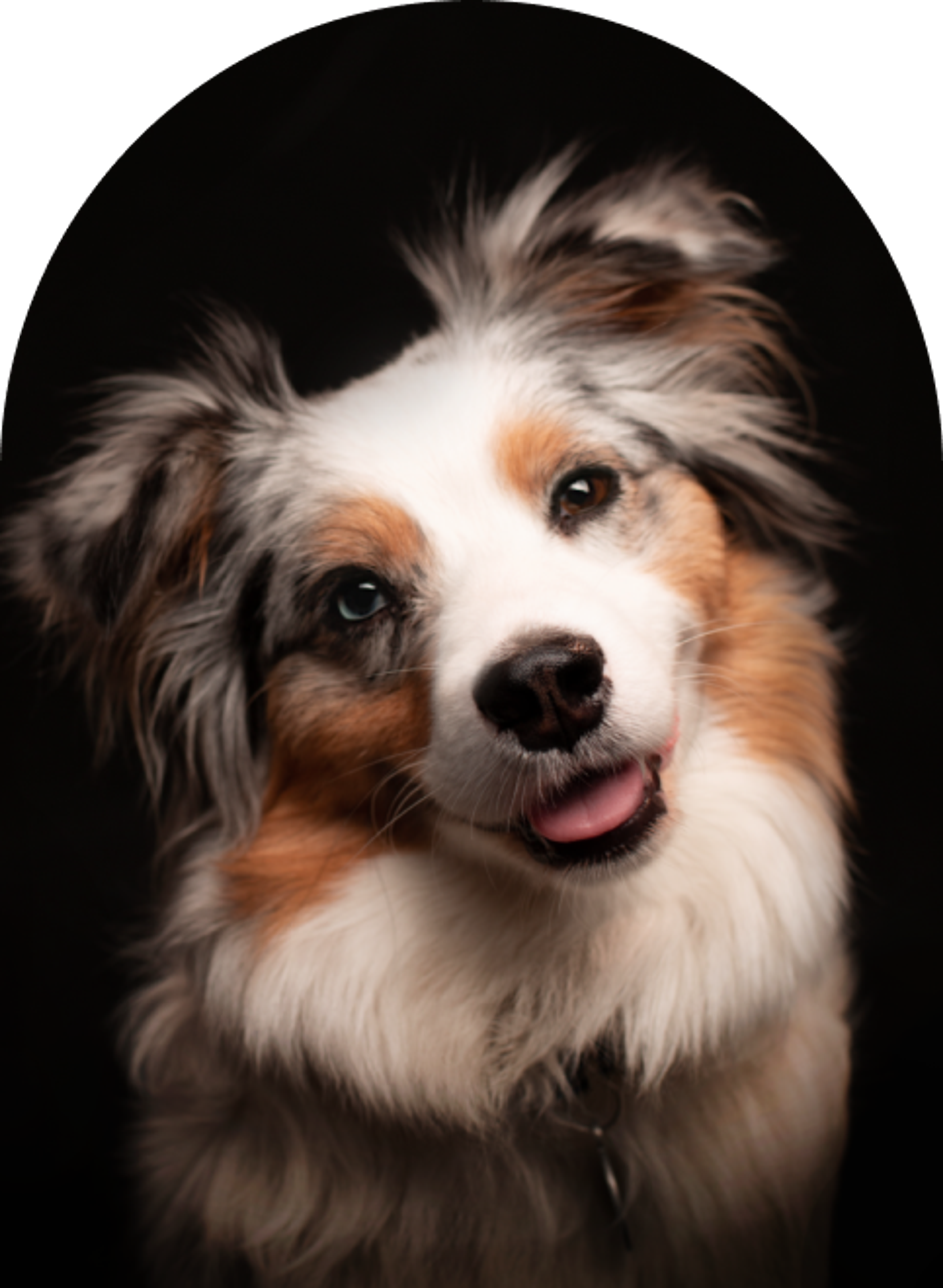 Ijob Brandstätter Lumi - Head of Hapinnes - Unerwartet Design